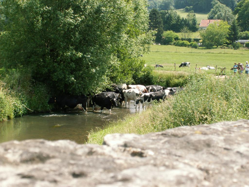 Auberge De Smockelaer Heijenrath Oda fotoğraf